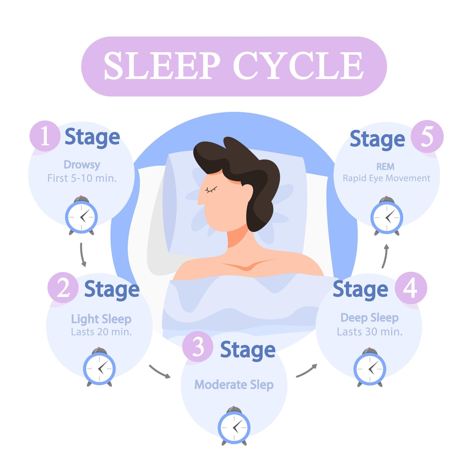 Diagram showing the 4 stages of a human sleep cycle